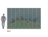 IADX8-115 Tapeten Komar Into Wonderland Winnie the Pooh Curious Minds Farbe bunt Vlies Fototapete