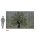 IADX8-119 Tapeten Komar Into Wonderland Bambi Forest Friends Farbe bunt Vlies Fototapete