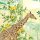 IAX7-0010 Tapeten Komar Into Wonderland Jungle Adventure Farbe bunt Vlies Fototapete