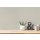 AS 306886 Tapeten A.S Creation Farbe Grau    PintWalls II Vliestapete