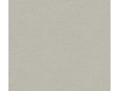 AS 306894 Tapeten A.S Creation Farbe Grau    PintWalls II Vliestapete