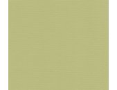 AS 390974 Tapeten A.S Creation Farbe Grün    PintWalls II Vliestapete