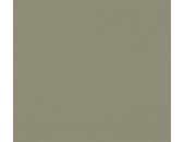 AS 390975 Tapeten A.S Creation Farbe Grün Khaki   PintWalls II Vliestapete
