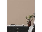 AS 390983 Tapeten A.S Creation Farbe Braun Beige   PintWalls II Vliestapete