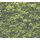 AS 394051 Tapeten A.S Creation Farbe Grün    PintWalls II Vliestapete