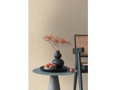 AS 395655 Tapeten A.S Creation Farbe Beige    PintWalls II Vliestapete