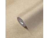 AS 395655 Tapeten A.S Creation Farbe Beige    PintWalls II Vliestapete