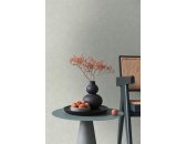 AS 395658 Tapeten A.S Creation Farbe Grau Grün   PintWalls II Vliestapete