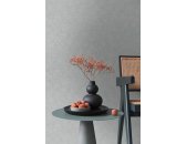 AS 395659 Tapeten A.S Creation Farbe Grau    PintWalls II Vliestapete