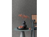 AS 395663 Tapeten A.S Creation Farbe Anthrazit Grau   PintWalls II Vliestapete