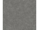 AS 395663 Tapeten A.S Creation Farbe Anthrazit Grau   PintWalls II Vliestapete
