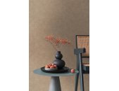 AS 395666 Tapeten A.S Creation Farbe Braun    PintWalls II Vliestapete