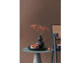 AS 395671 Tapeten A.S Creation Farbe Rot Braun   PintWalls II Vliestapete