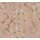 AS 397453 Tapeten A.S Creation Farbe Rosa Grün Rot  PintWalls II Vliestapete