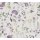 AS 397462 Tapeten A.S Creation Farbe Violett Grün Gelb  PintWalls II Vliestapete