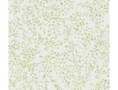 AS 397472 Tapeten A.S Creation Farbe Grün Weiß Creme  PintWalls II Vliestapete
