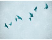 AS 399231 Tapeten A.S Creation Farbe Blau     THE WALL...
