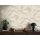 AS 399801 Tapeten A.S Creation Farbe Creme Beige Braun   Michalsky 6 Satintapete