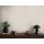 AS 399862 Tapeten A.S Creation Farbe Creme Beige    Michalsky 6 Satintapete