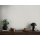 AS 399863 Tapeten A.S Creation Farbe Grau     Michalsky 6 Satintapete