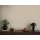 AS 399867 Tapeten A.S Creation Farbe Beige     Michalsky 6 Satintapete