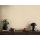 AS 399871 Tapeten A.S Creation Farbe Beige Gelb Gold   Michalsky 6 Satintapete