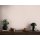 AS 399872 Tapeten A.S Creation Farbe Rosa     Michalsky 6 Satintapete
