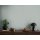 AS 399873 Tapeten A.S Creation Farbe Grau Blau    Michalsky 6 Satintapete