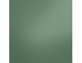 AS 395801 Tapeten A.S Creation Farbe Grün     French Affair   Vliestapete