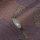 AS 399352 Tapeten A.S Creation Farbe Rot     French Affair   Profiltapete