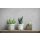 82396 Marburg Novamur Kylie Farbe grau Vliestapete