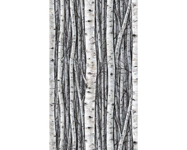 82433 Marburg Timber Farbe grau, blau Vliestapete