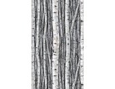 82433 Marburg Timber Farbe grau, blau Vliestapete