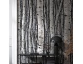 82433 Marburg Timber Farbe grau, blau Vliestapete