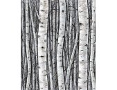 35397 Marburg Timber Farbe grau, blau Vliestapete