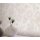 10402-14 Tapeten Erismann Spotlight Farbe beige Vinyltapete auf Vlies