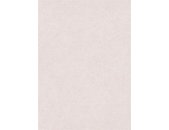 10434-14 Tapeten Erismann Gentle Farbe creme Vinyltapete auf Vlies
