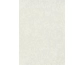 10435-01 Tapeten Erismann Gentle Farbe weiß Vinyltapete auf Vlies
