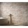 10448-13 Tapeten Erismann Elle Decoration 4 Farbe beige Vinyltapete auf Vlies