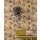 340514 Tapeten Eijffinger Groovy  Farbe rot beige sand Vlies