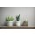 35137 Marburg City Romance Farbe grau Vliestapete