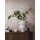 35152 Marburg City Romance Farbe beige grau  Vliestapete