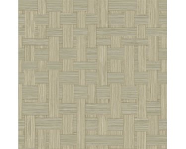 25720 Tapeten Smita Schmitz Altagamma Materic Farbe braun Vliestapete