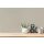 AS 371782 Tapeten A.S Creation Anna DAndrea Farbe Beige, Grau Vlies