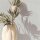82480 Marburg Novamur Mona Farbe beige Vliestapete
