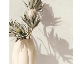 35545 Marburg Ritus Farbe beige Vliestapete