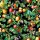 35634 Marburg Glööckler Pompöös Provence Farbe schwarz, grün, orange Vliestapete