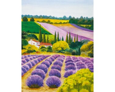 35642 Marburg Glööckler Pompöös Provence Farbe lila, gelb, grün Vliestapete