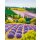 35642 Marburg Glööckler Pompöös Provence Farbe lila, gelb, grün Vliestapete