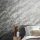 86522 Marburg Felix Diener Eclectic Farbe grau, gold Vliestapete